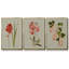Blush Architecture Study IV 3 pièces-97757706-97757705