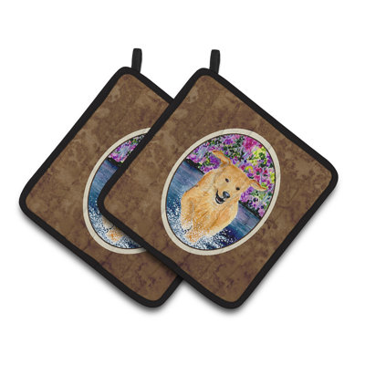 Cuisinier poignée golden home retriever east urban