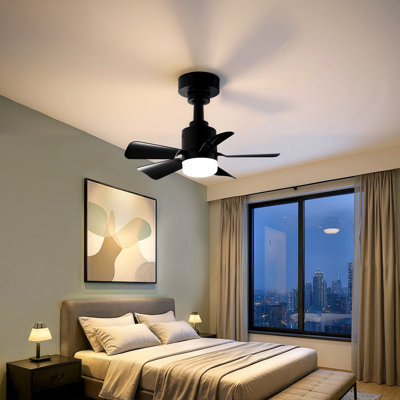 Ceiling Fan with LED Lights