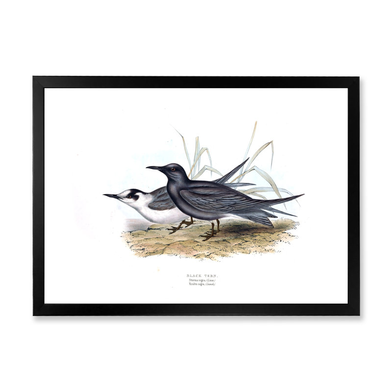 Oiseau rétro de l'Europe II - peinture sur toile, H 16 po x l 32 po x p 1 po, Cadre photo noir