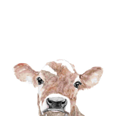 " Peeking Calf "