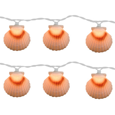 10 Lt Shell Light