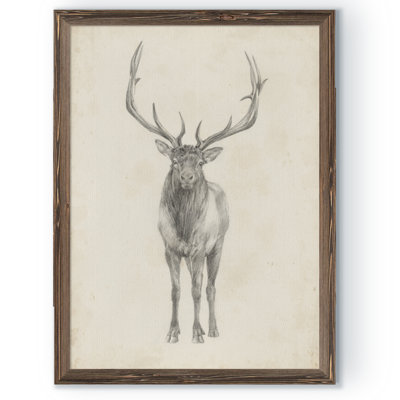 " Elk Study " by Paul Cezanne