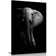 Huge Elephant In Darkness - Wrapped Canvas Print