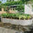 Galvanized Planter Raised Garden Beds-318434228