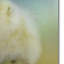 Impression sur toile tendue Vidur-22071038