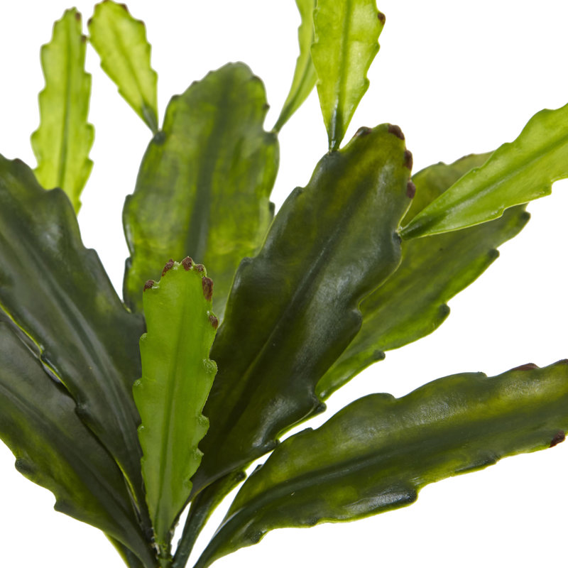 Ensemble de 4 plantes artificielles