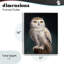 «Snowy Owl King», estampe numérique, conception de Lucia Heffernan-1252318180-1252318182