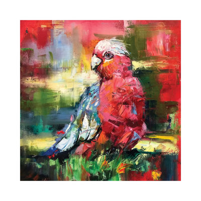 Galah by Jos Coufreur - Wrapped Canvas Gallery-Wrapped Canvas Giclée