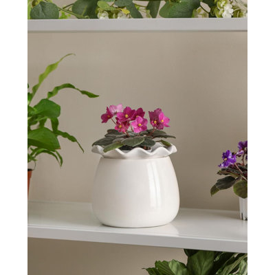Planter