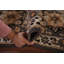 Tapis de couloir indien gris Kazak