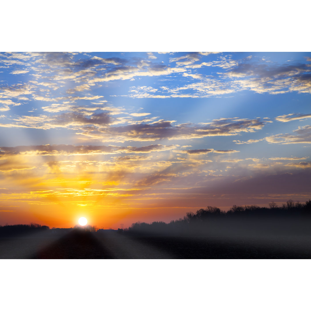 Sonnenaufgang Frühlingsnebel von JamesBrey - Drucken