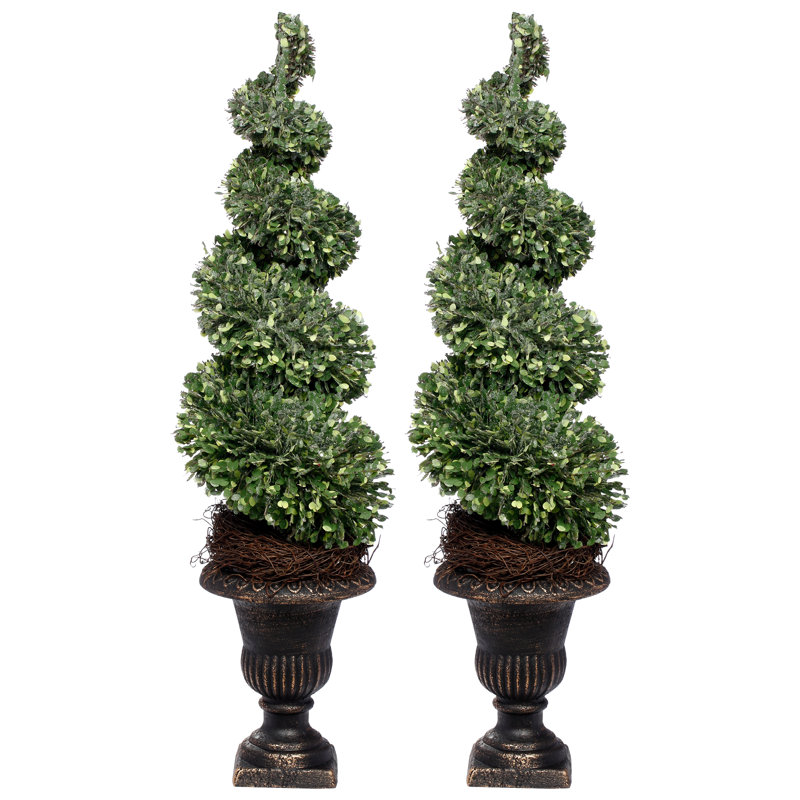 Spiral Topiary, 24 Inches