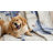 Heirloom Posey Reversible Quilt Set-24327869-22606827