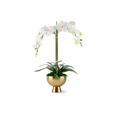 Monet RealTouch Orchid in Gold Pedestal
