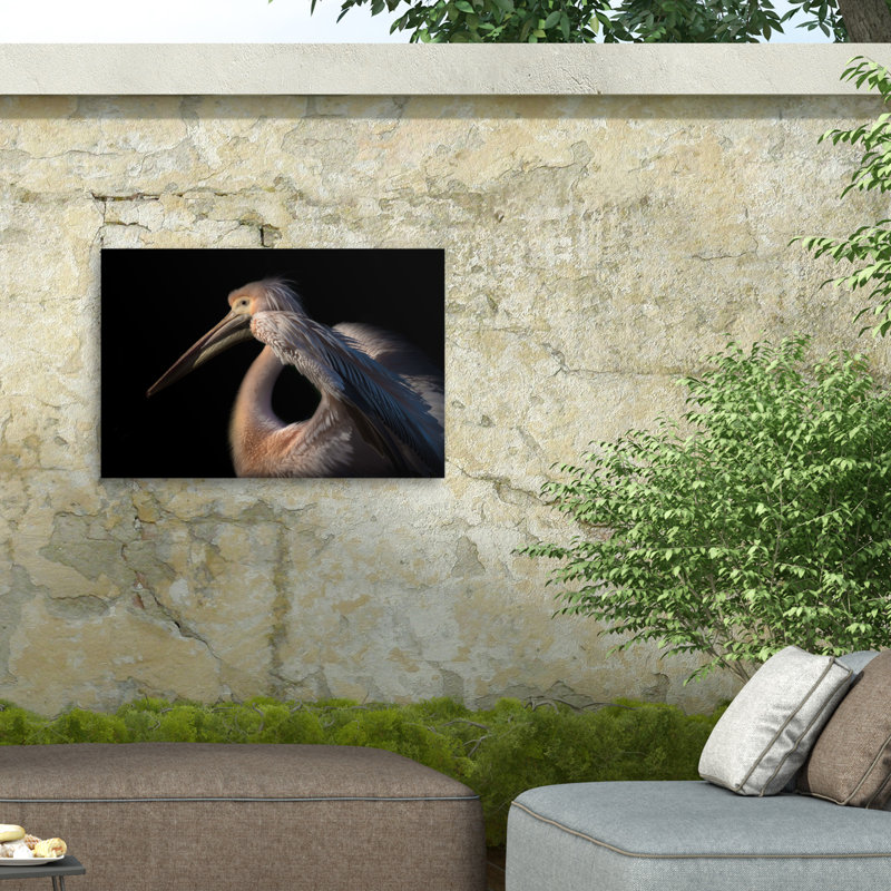 Natalia Rublina, le pélican Philosophile ... sur toile par Natalia Rublina, H 30 po x l 47 po