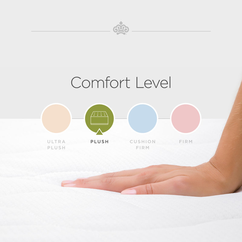 Passions Kelbrooke 16" Plush Euro Pillowtop Hybrid Mattress, Full / Double