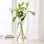 Christel transparent 18 po