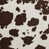 Vache brun foncé est en rupture de stock