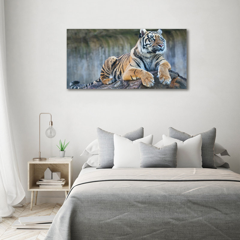 Tiger - No Frame Print on Canvas