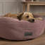 Polyester Pet Bed-75221192-75221195