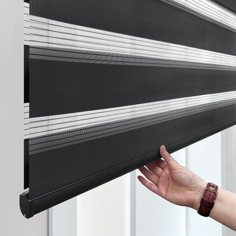 Cordless Zebra Roller Shade with  Room Darkening and Semi-Sheer Dual View, 27"W x 72"L, Black