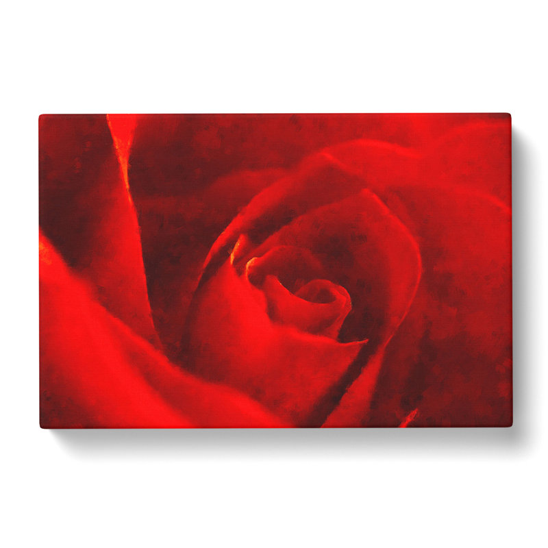Red Rose Flower Vol.8 - Wrapped Canvas, 50cm H x 76cm W x 3cm D