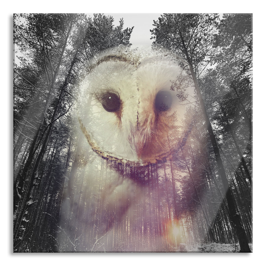 Ungerahmter Grafikdruck auf Glas "Portrait of an Owl"