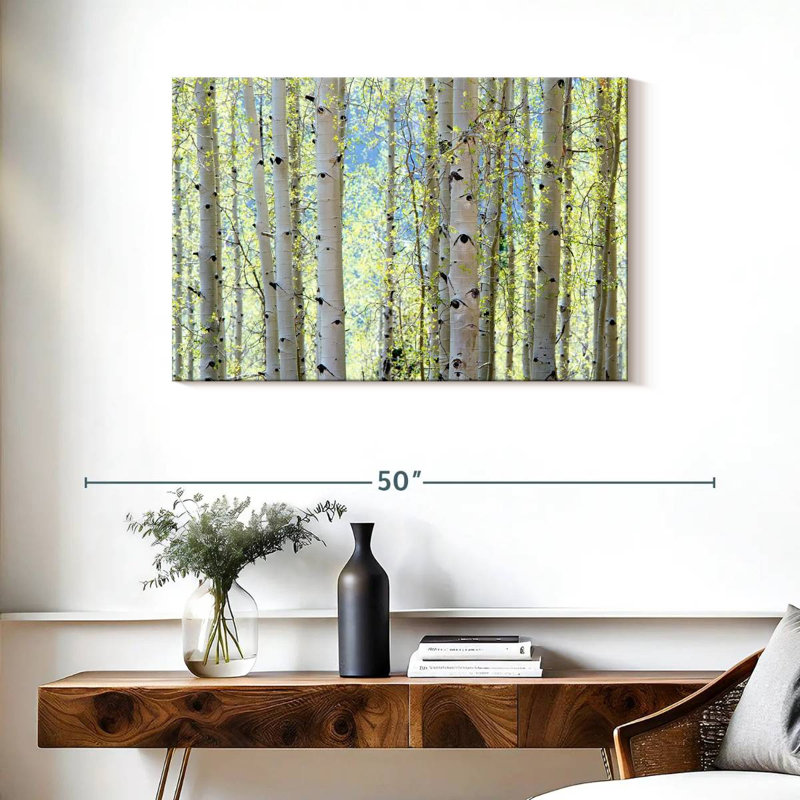Harnek Aspens, H 24 po x l 36 po
