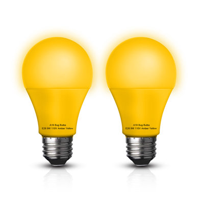 Ensemble de 2 ampoules pour insectes