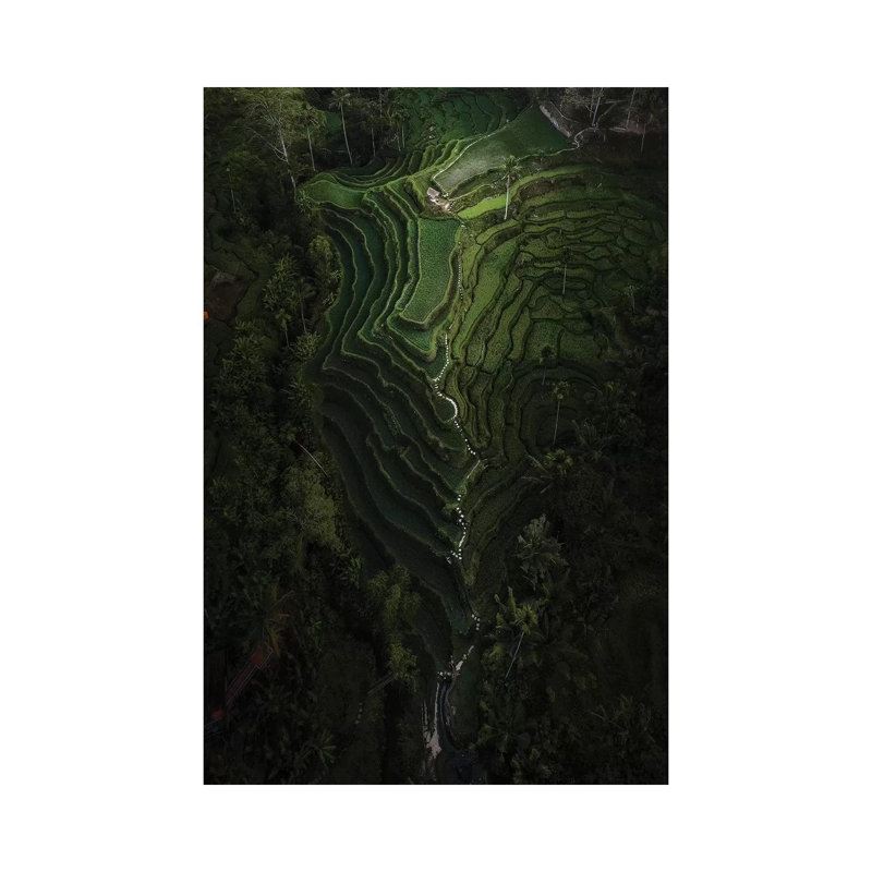 Bali IV by Daisuke Uematsu - Print on Canvas, Wrapped Canvas, 30.48cm H x 20.32cm W x 1.91cm D