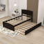 Twin Platform Bed with Trundle-1585602915