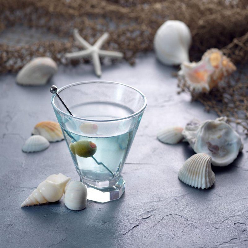 JoyJolt Aqua Vitae Octagon Martini Glasses, 8.1oz