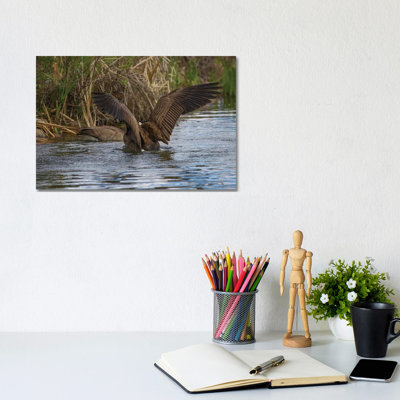 Bold And Beautiful by Louis Ruth - Wrapped Canvas Print