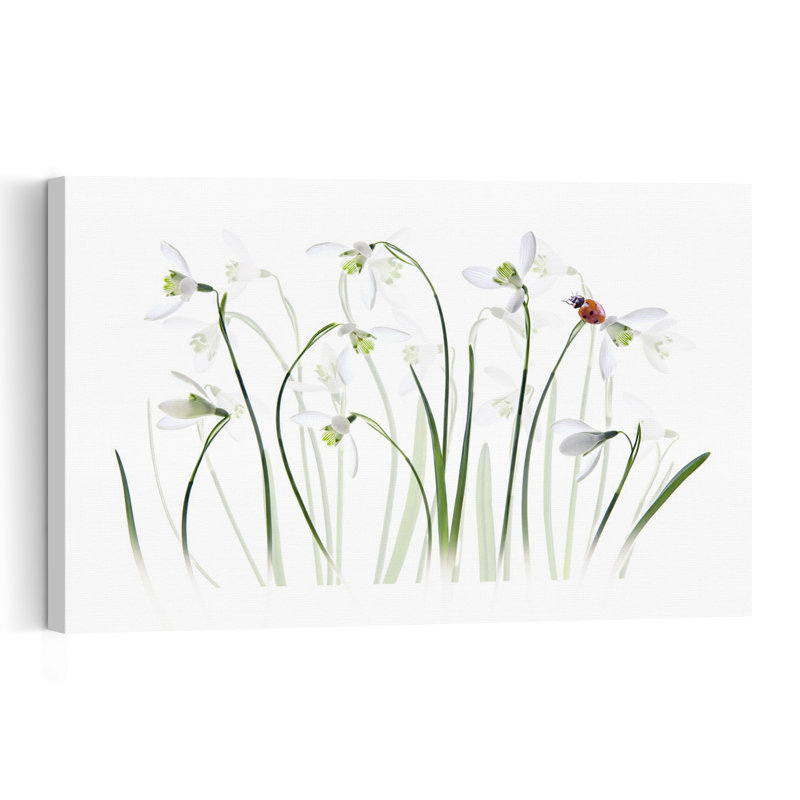 Spring Snowdrops Ladybug Delicate Minimalist Peaceful Ladybug Nature Spring Wall Art Print 1 Piece Wrapped Canvas Wall Art