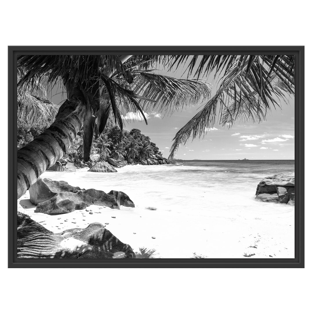 Palm Beach auf den Seychellen Gerahmter Kunstdruck in Schwarz und Weiß