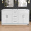 Armoire de meuble-lavabo autoportant sans base 60 po x l 60 po x P 21,5 po x H 33,5 po-118136070