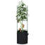 Plant Stand - Set of 4
