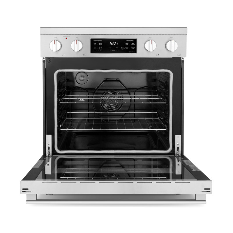 30 in. 4.6 cu. ft. Electric Range with 4 Surface Burners and Convection Oven in Stainless Steel