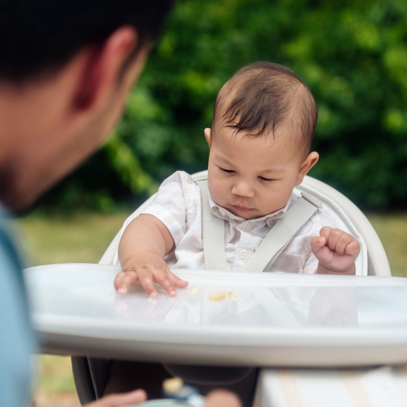 Maxi-Cosi Moa 8-in-1 High Chair, Classic Graphite