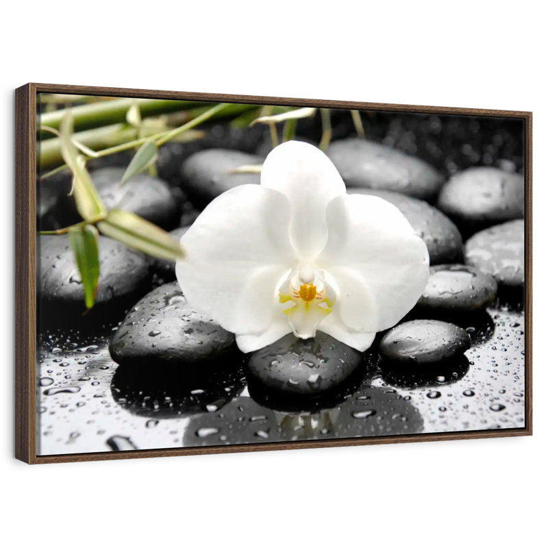 Orchidée blanche, 40 po x 27 po, Cadre flottant noyer