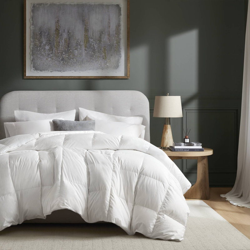Ensemble de literie en duvet d'oie blanche de qualité supérieure, 100% coton, édredon moderne toutes saisons pour la maison