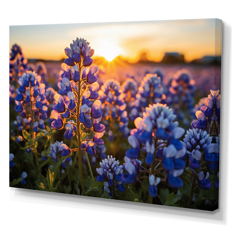 Blue Bonnets Field Photo V - impression, Toile tendue, H 30 po x l 40 po x P 1,5 po
