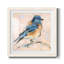 Oiseau Variété III, ensemble de 1 reproductions carrées sur toile-62719058-62719054