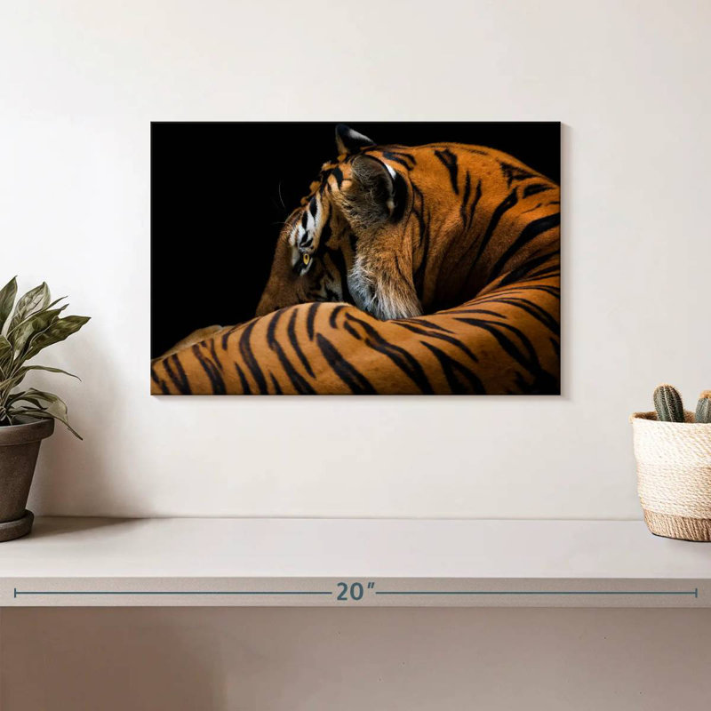 Tigre majestueux Brampt, H 8 po x l 12 po