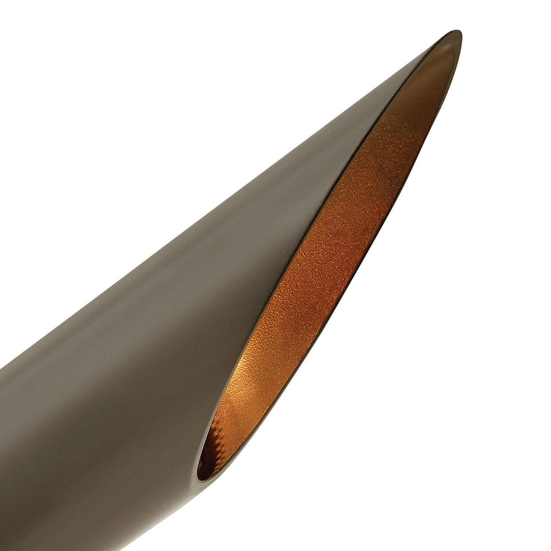 Accent Spot Low Voltage Hardwired Spot Light Hinkley Bulb 