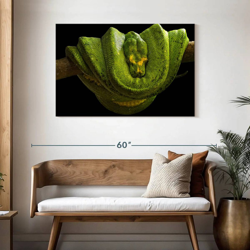 Green Boa Constrictor, 30" H x 45" W