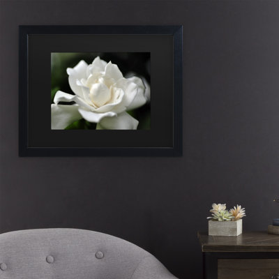 " Lovely Gardenia " by Kurt Shaffer