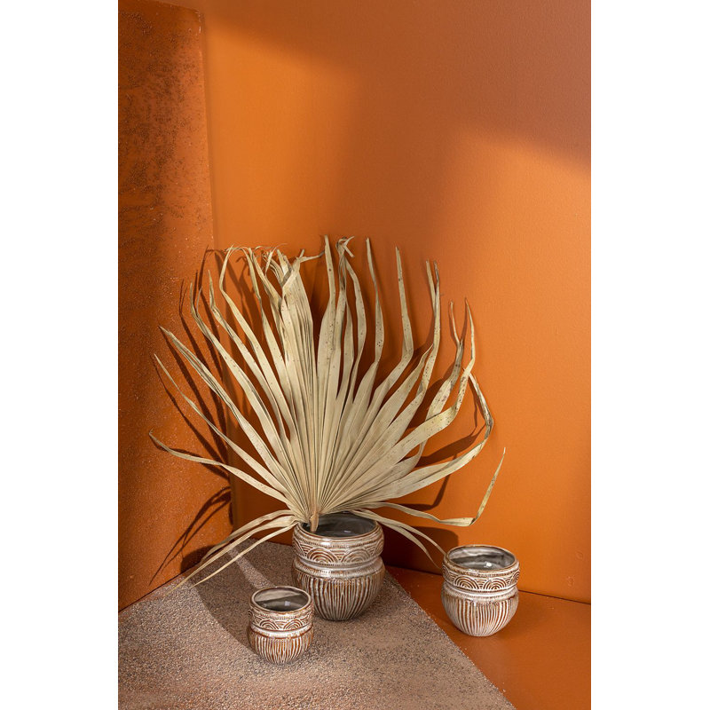 Jardinières en pot, H 4,5 po x l 4,3 po x P 4,3 po