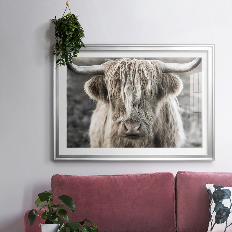 Highland Skye, reproduction d'art encadrée, H 30 po x l 44 po x P 1,5 po, Argent